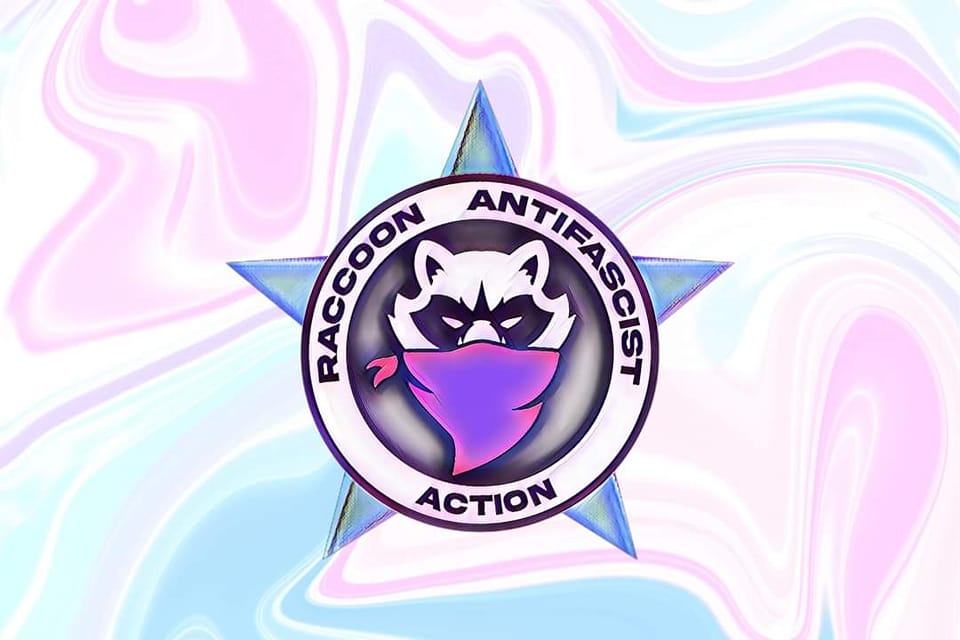 raccoon antifa